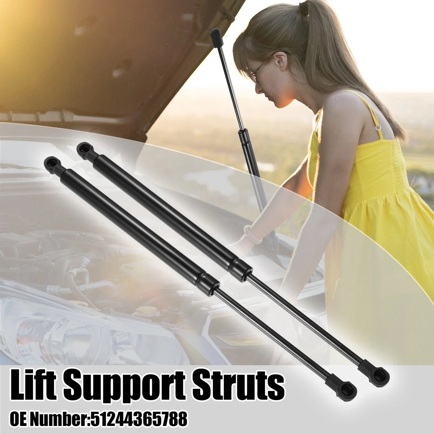Rear Tailgate Lift Support Gas Struts for BMW 325i (2006 - 2006)