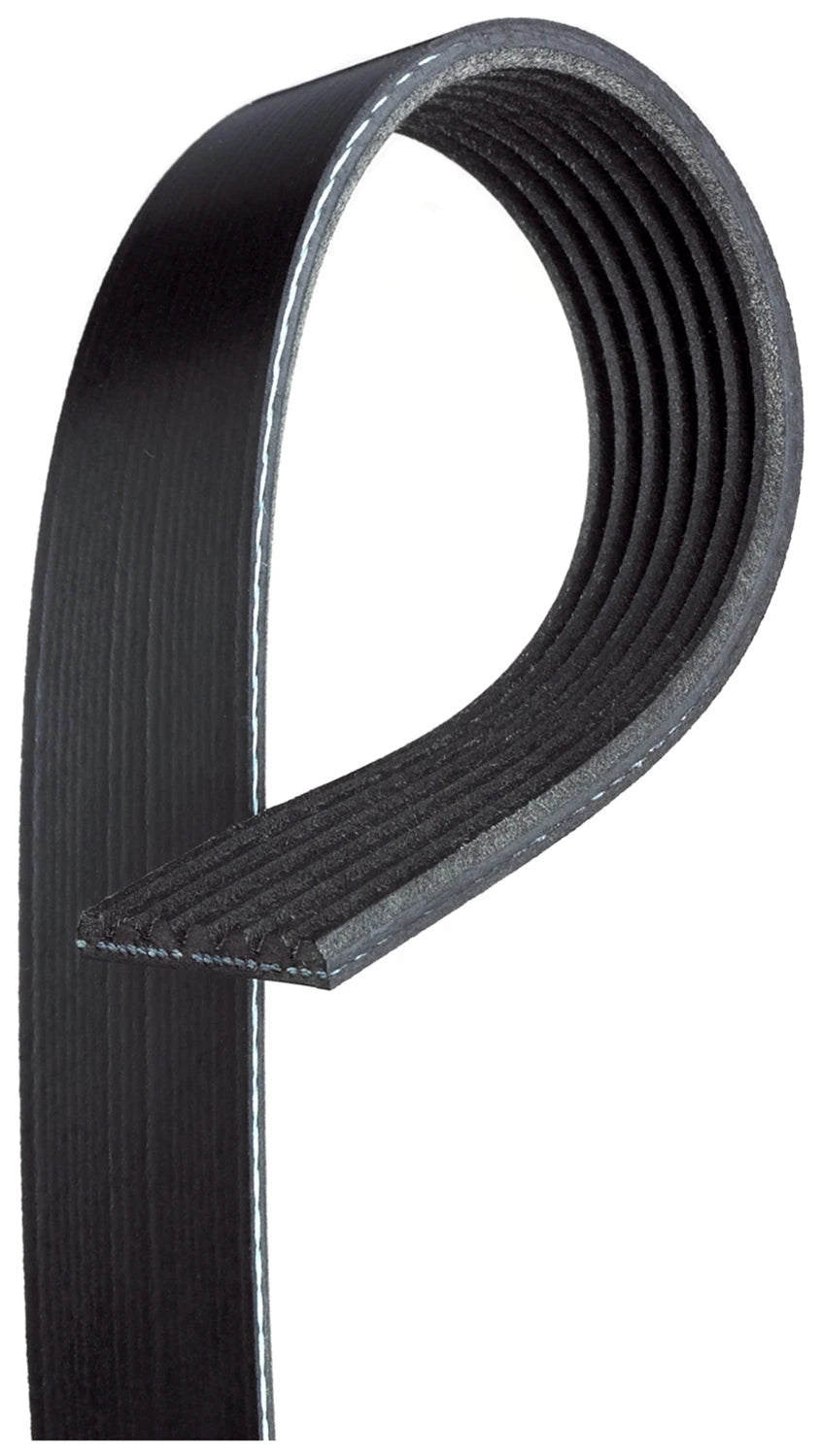 Drive Belt for Isuzu DMax TFR85 & TFS85 (2002–2012)