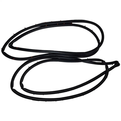 Front Door Weatherstrip Seal for 2002-2006 Acura RSX Left & Right Pair