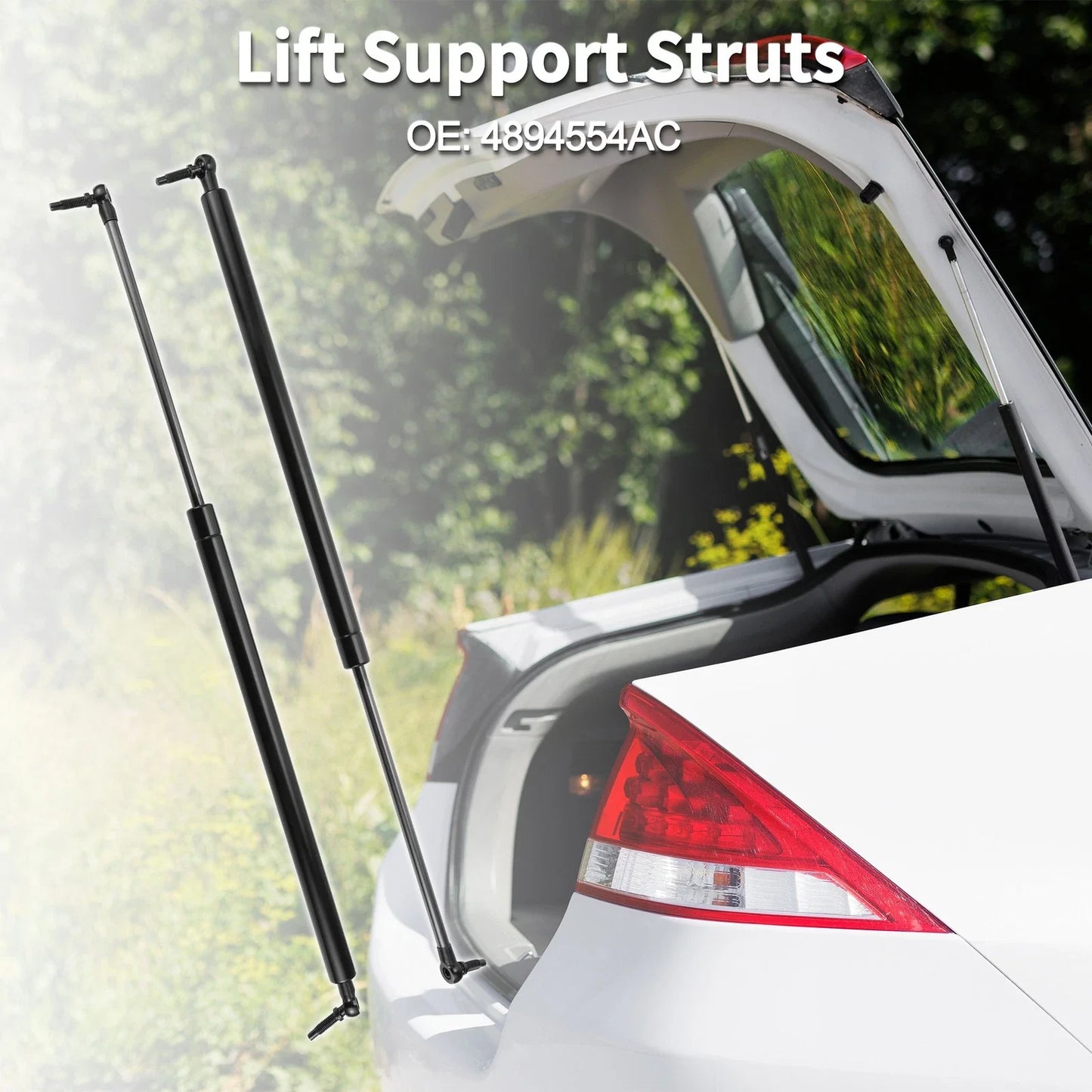 Rear Hatch Lift Supports for Dodge Caravan (2011-2020)