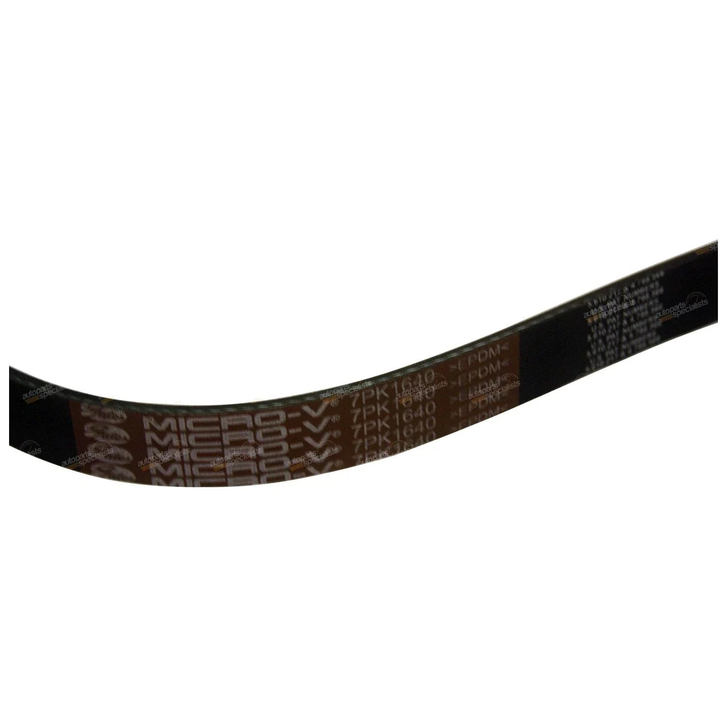 Engine Drive / Fan Belt 3.0L for Turbo Diesel Motor