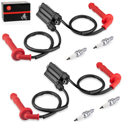 Set of 2 Ignition Coils & Spark Plugs for Honda CBR600F3 CBR600F2 (1991–1998)