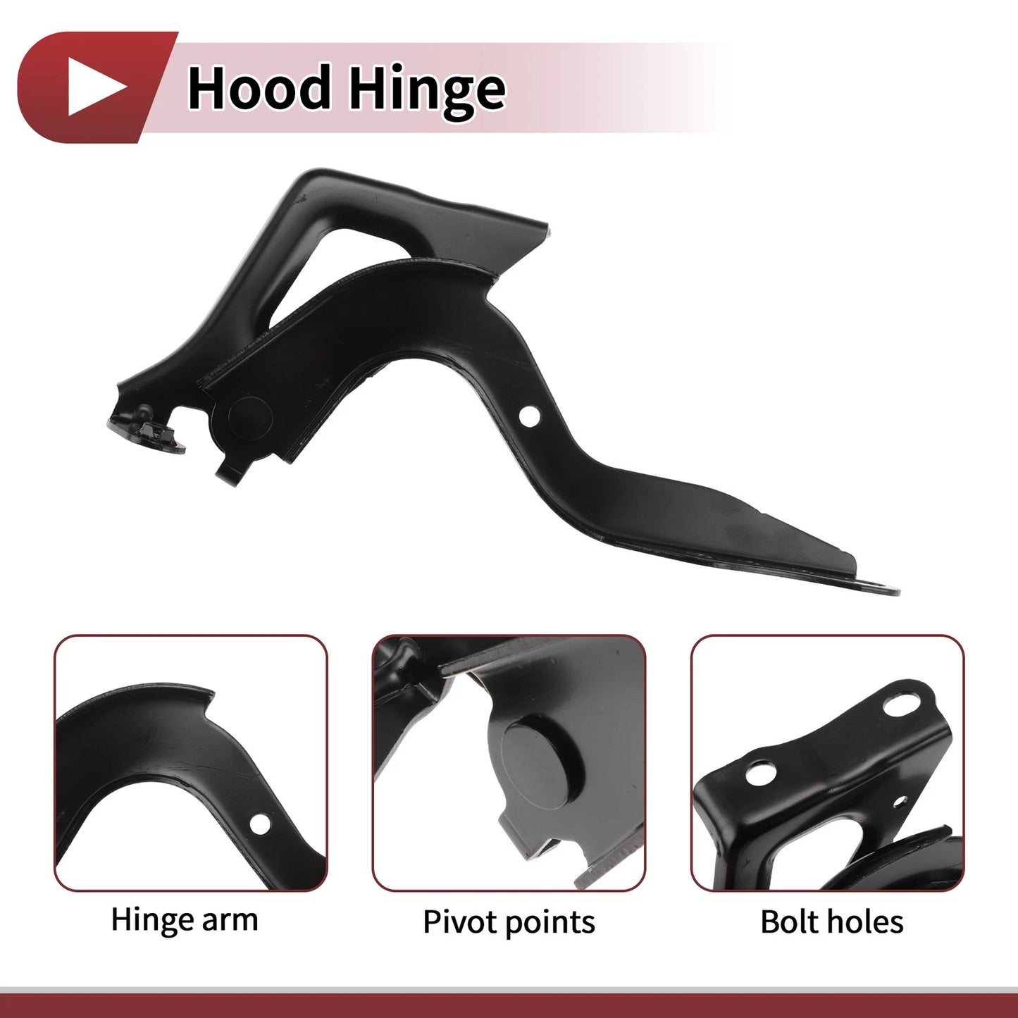 Hood Hinge for Toyota RAV4 (2020) Right Side, 1 Piece