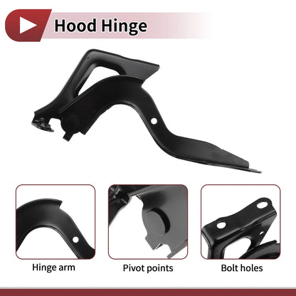 Hood Hinge for Toyota RAV4 (2020) Right Side, 1 Piece
