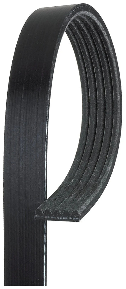 Drive Belt