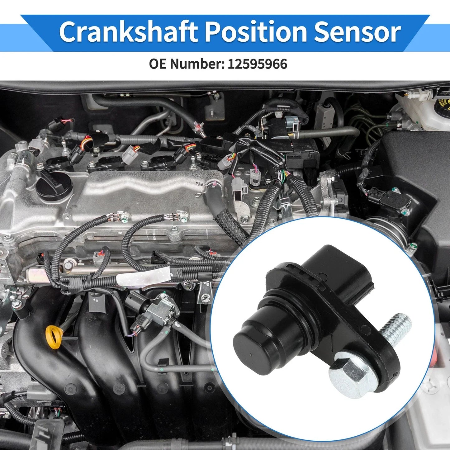 Crankshaft Position Sensor for Chevrolet Silverado 1500 WT (2007-2013)