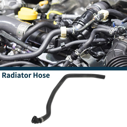 Radiator Hose No. 64218377699 for BMW 745i (2002–2005)
