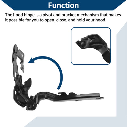 Hood Hinges for Lexus ES350 (2007–2012) 5342033210 1 Pair