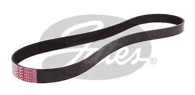 Drive Belt