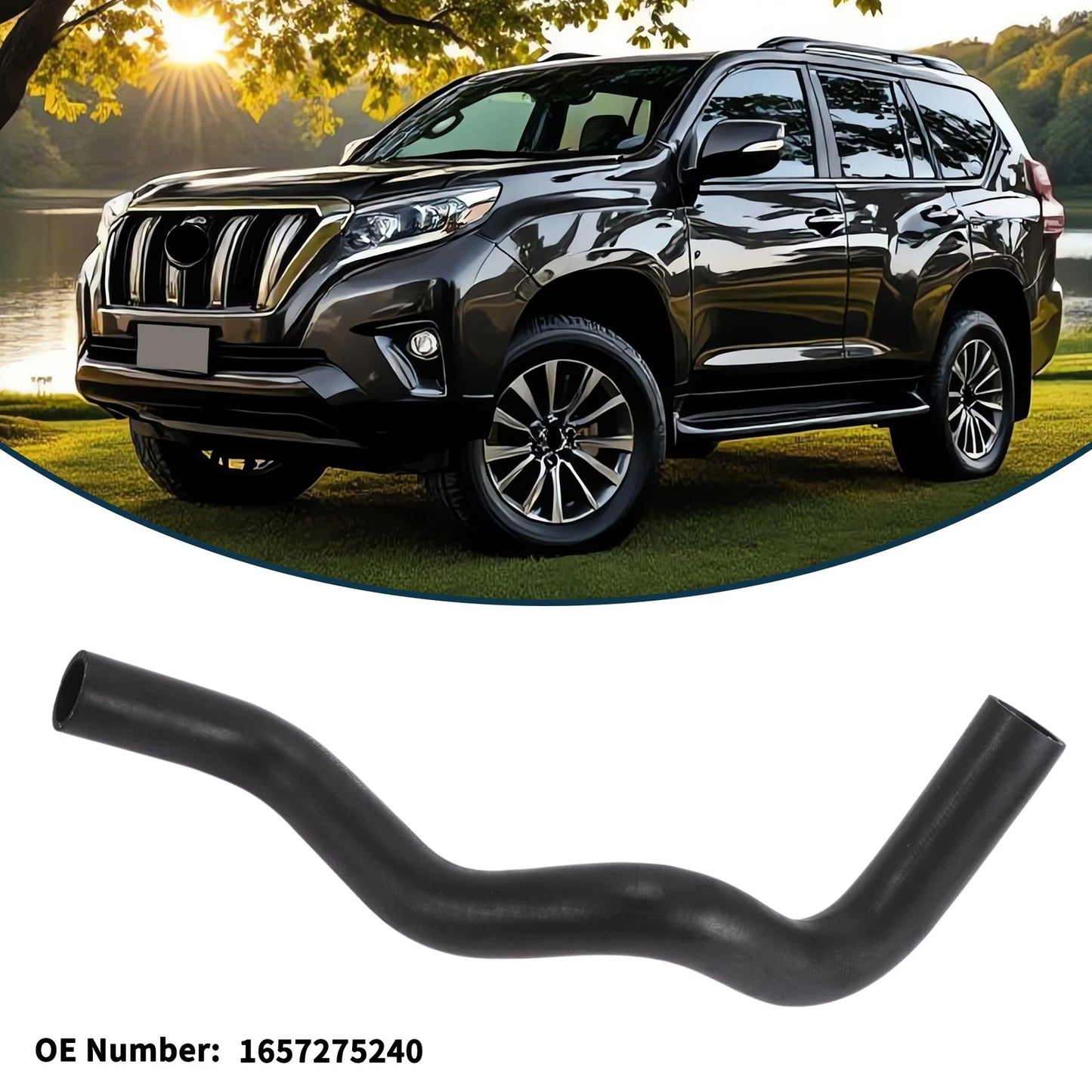 Radiator Hose No. 1657275240 for Toyota Prado (2002)