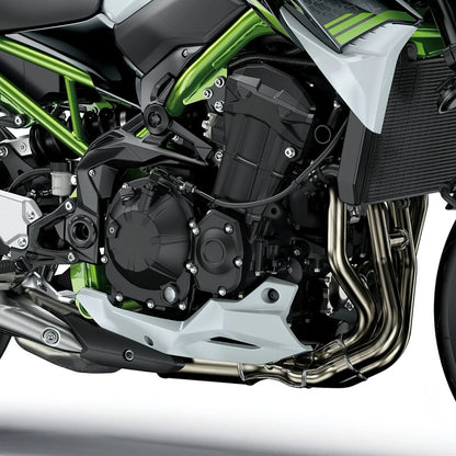 Stator Cover Case for Kawasaki Z900 (2017 - 2025)