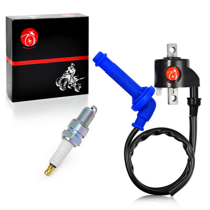 Ignition Coil & Spark Plug for Polaris ATV Predator 500 (2003–2007)