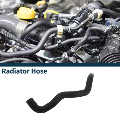 Lower Radiator Hose for Toyota Land Cruiser Prado (No. 165720P370)