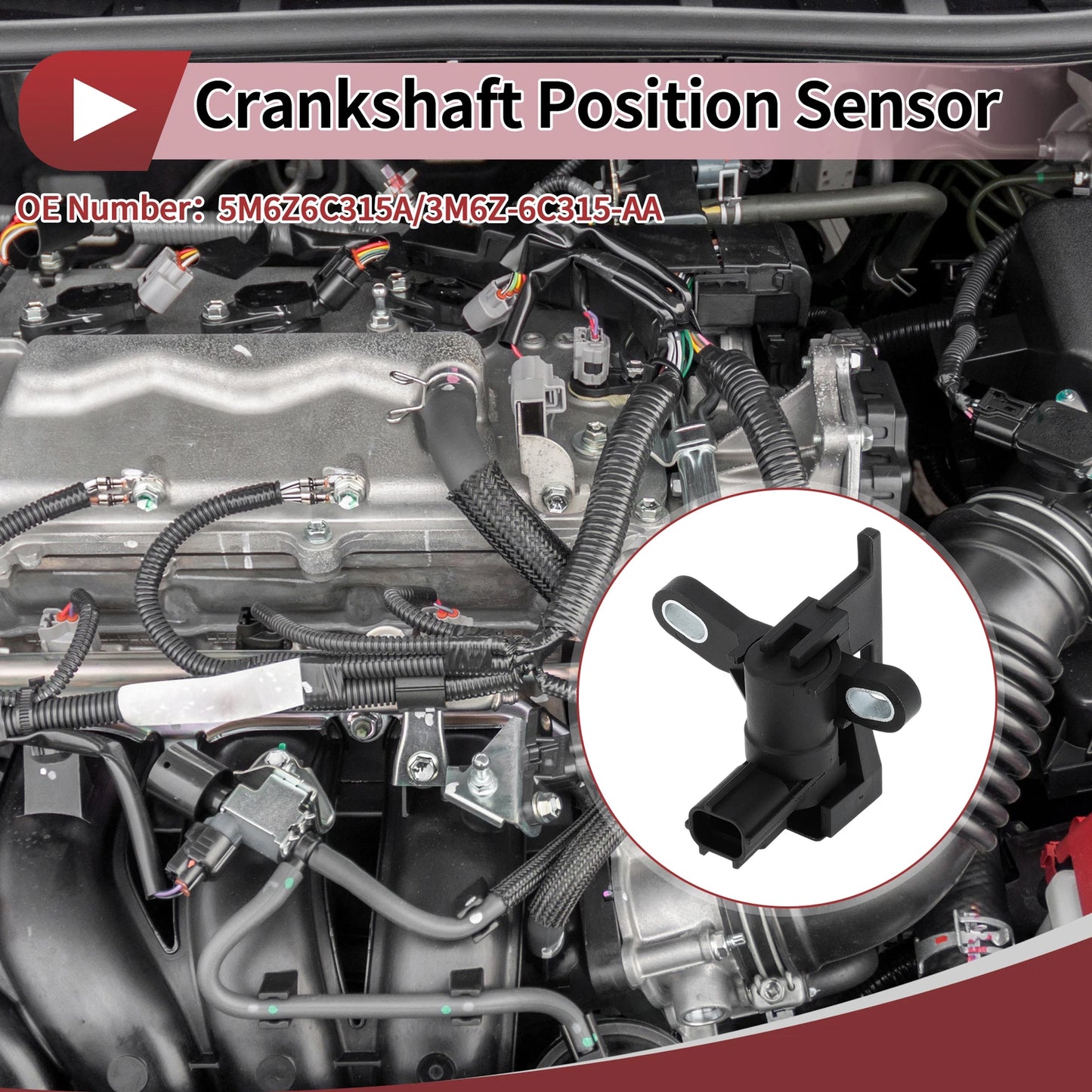 Crankshaft Position Sensor for Ford Escape 2.5 (2009–2019) No. 5M6Z6C315A