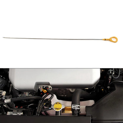Outside Window Weatherstrip Trim Seal Belt for Toyota Tacoma (2005–2015)