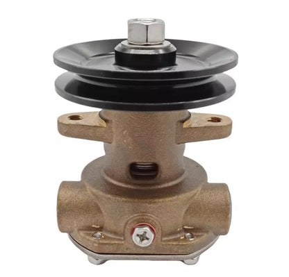 Raw Sea Water Pump for 4CZ6.5CZ Gas Engines
