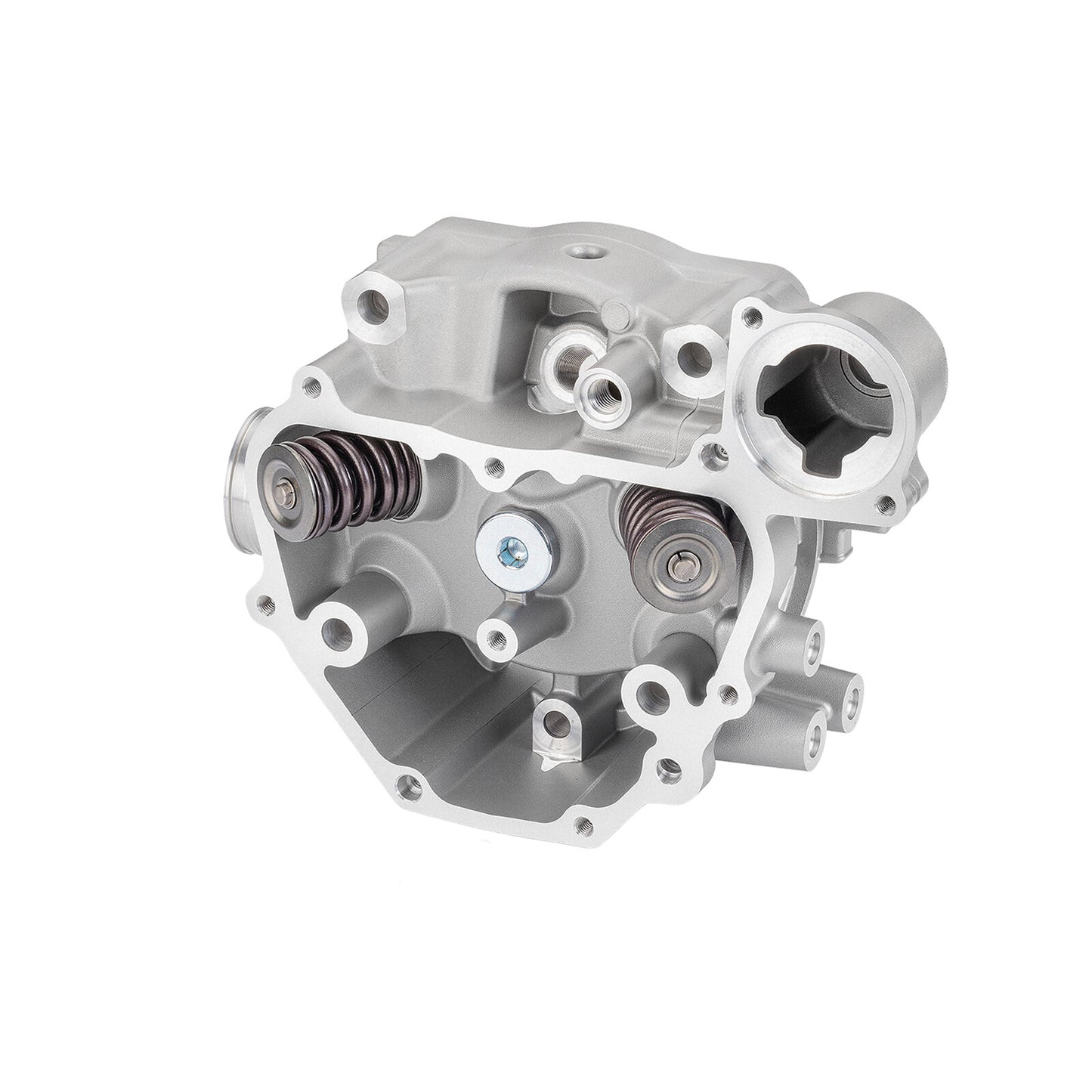 Cylinder Head Valves Kit for Honda Pioneer 500 (2015–2023)