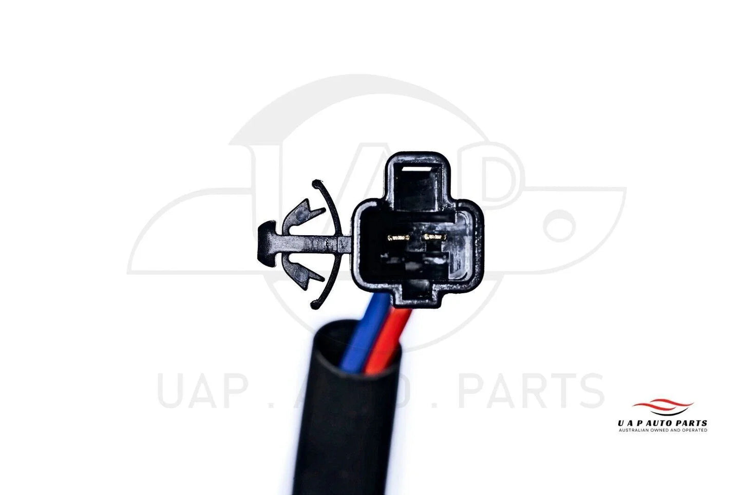 Front Right Window Regulator 2-Pin for Toyota Avalon MCX10 (2000–2005)