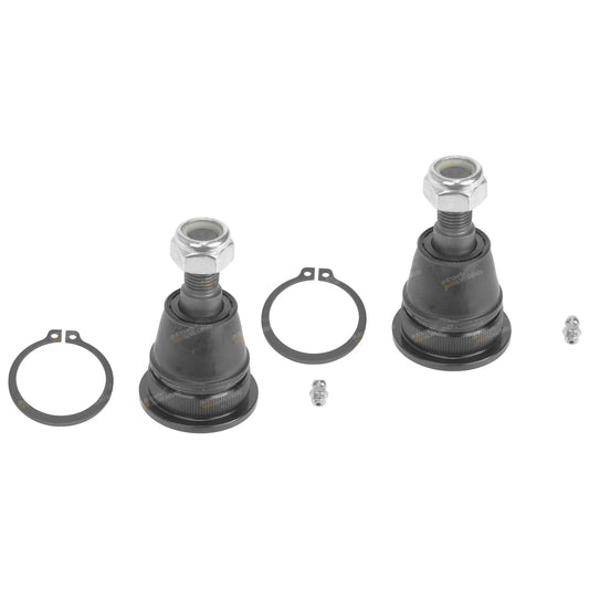 Lower Ball Joints for Pintara + Skyline R31 Nissan RWD (1986-1990)