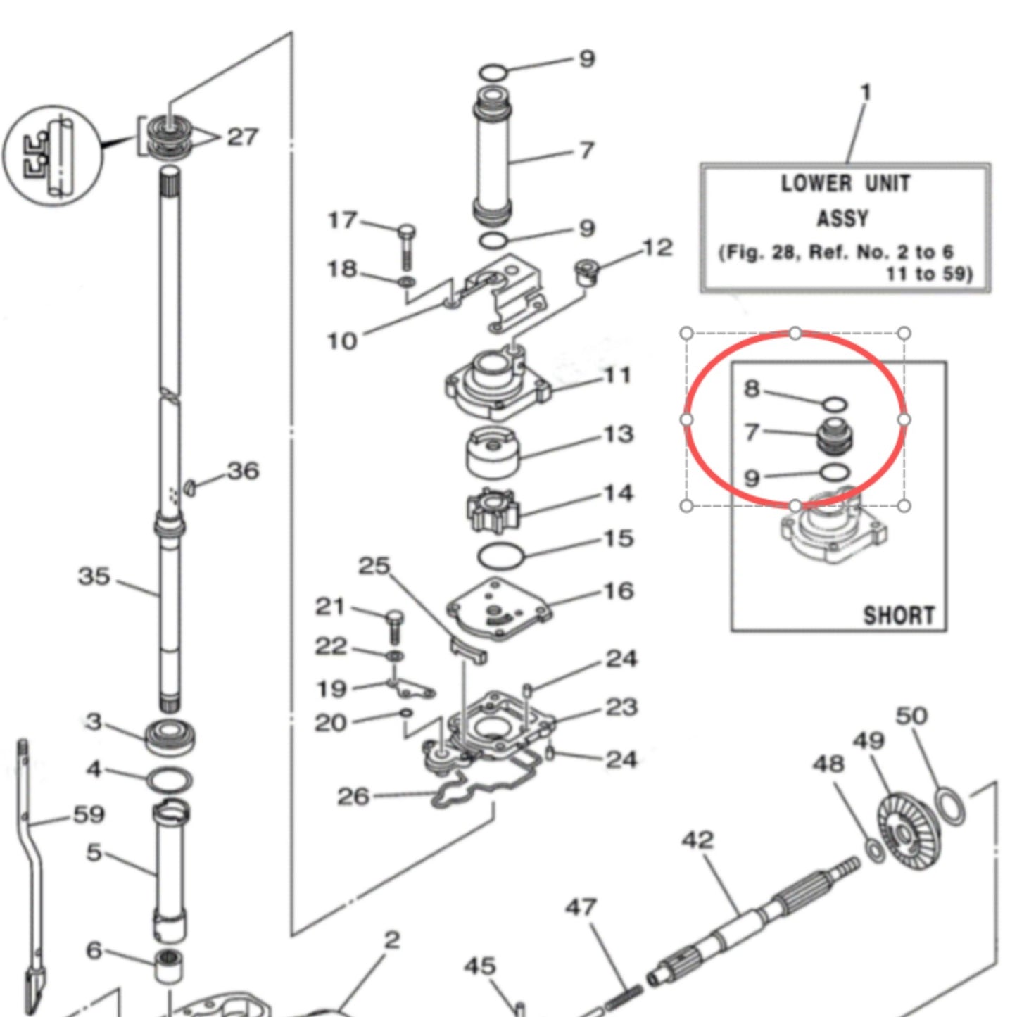 Water Tube for Yamaha Outboard (61N-44362)