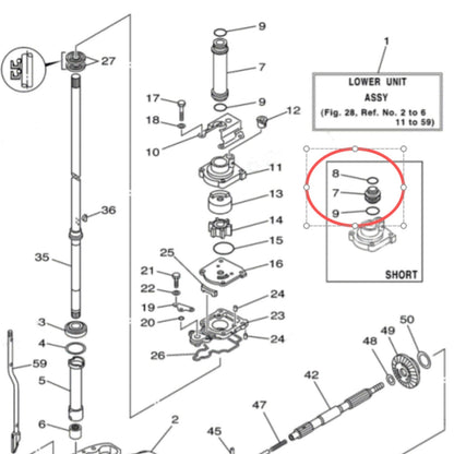 Water Tube for Yamaha Outboard (61N-44362)