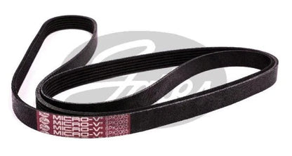 Drive Belt