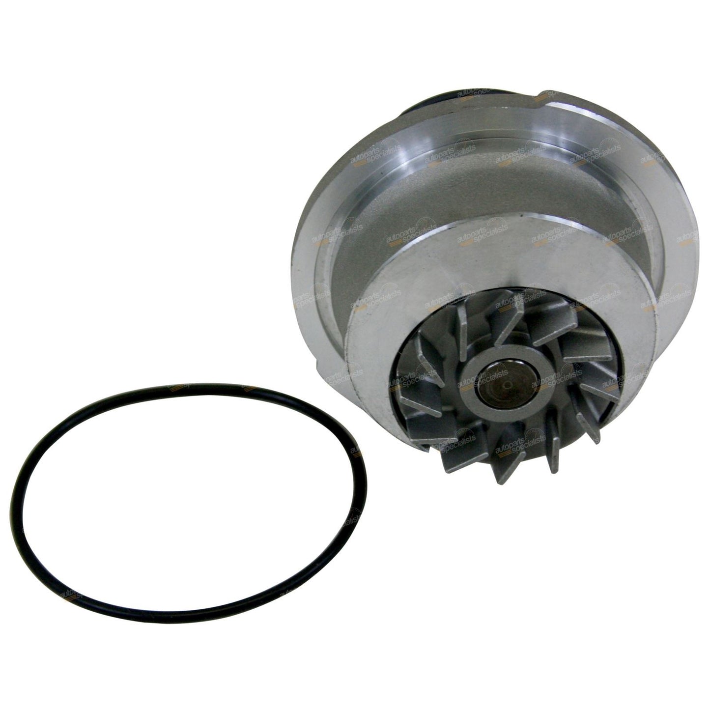 Timing Belt
