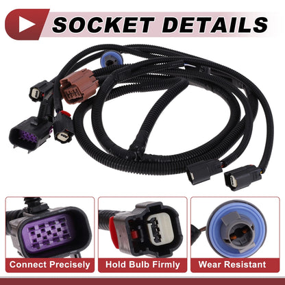 License Plate Light Socket Wiring for GMC Sierra 1500 (No. 10363788)