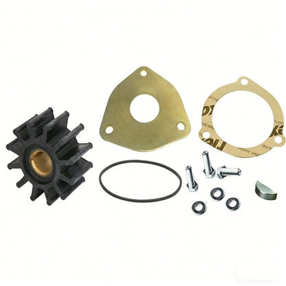 Minor Repair Kit for Sherwood Pump (G1, G2, G15, G21, G22, G30-2B)