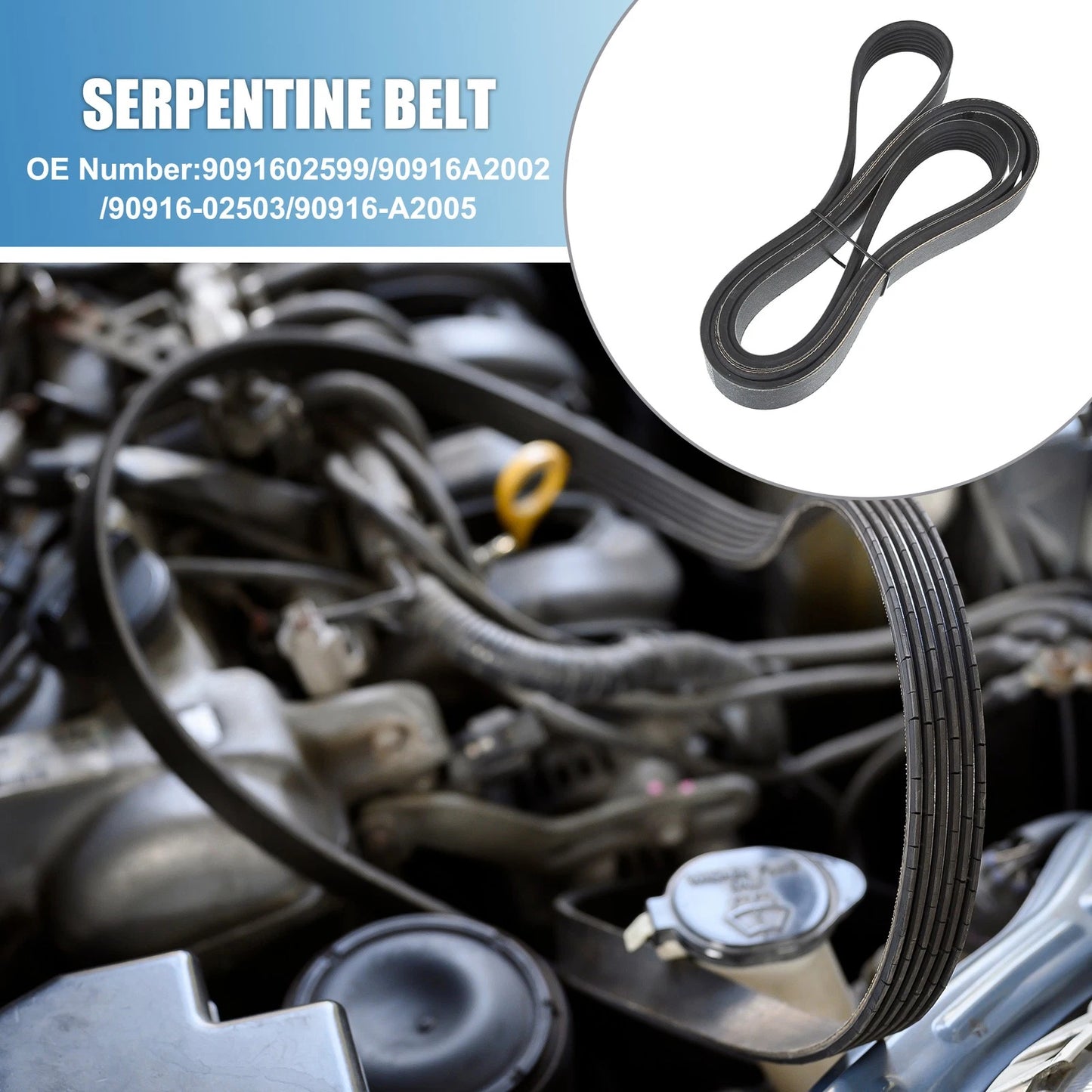 Serpentine V-Ribbed Belt No. 9091602599 for Scion TC 2.4L L4 (2005–2006)