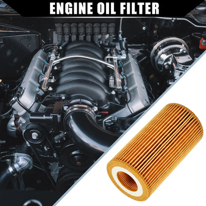 Set of 1 Engine Oil Filter No.LR022896 for Land Rover Range Rover (2011–2012)