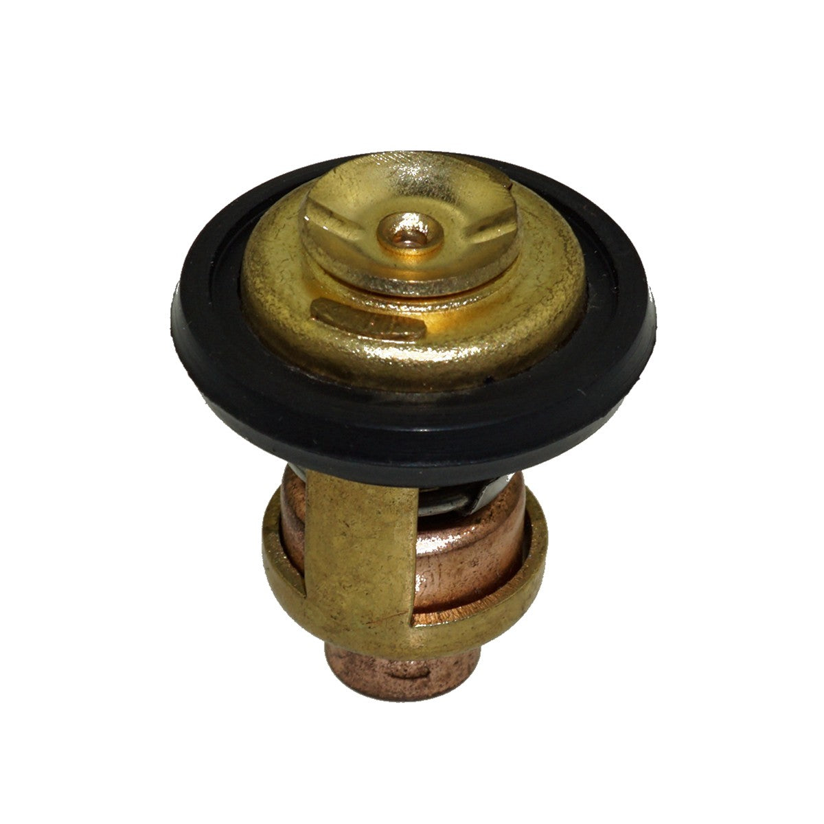 Thermostat for Yamaha Engine Boat