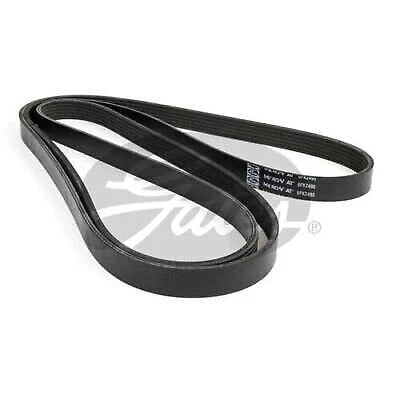 Drive Belt for Gates 6PK2490 (Fan Belt) (2000–2023)