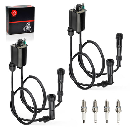 2 Sets Ignition Coil & Spark Plug for Honda CB750 Nighthawk (1991–2003)