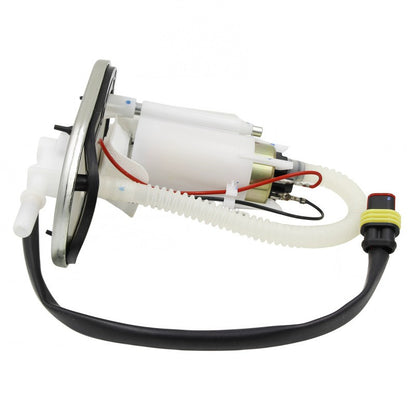 Fuel Pump Module Assembly for Pentora 200cc EFI (2000–2023)