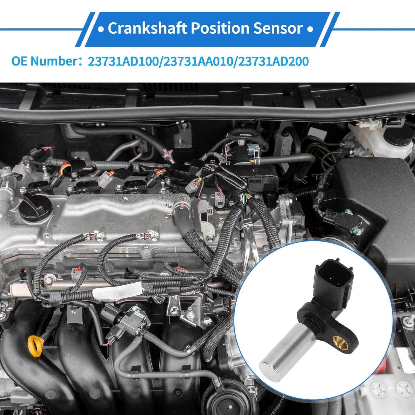 Crankshaft Position Sensor for Nissan Almera Tino 2.2dCi (2000–2006) No. 23731AD100