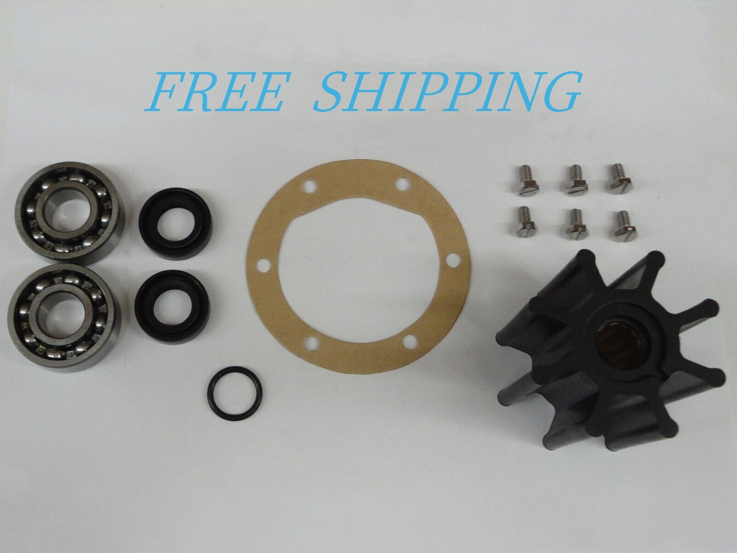 Sea Water Pump Repair Kit for Volvo Penta Marine Diesel (21951356)