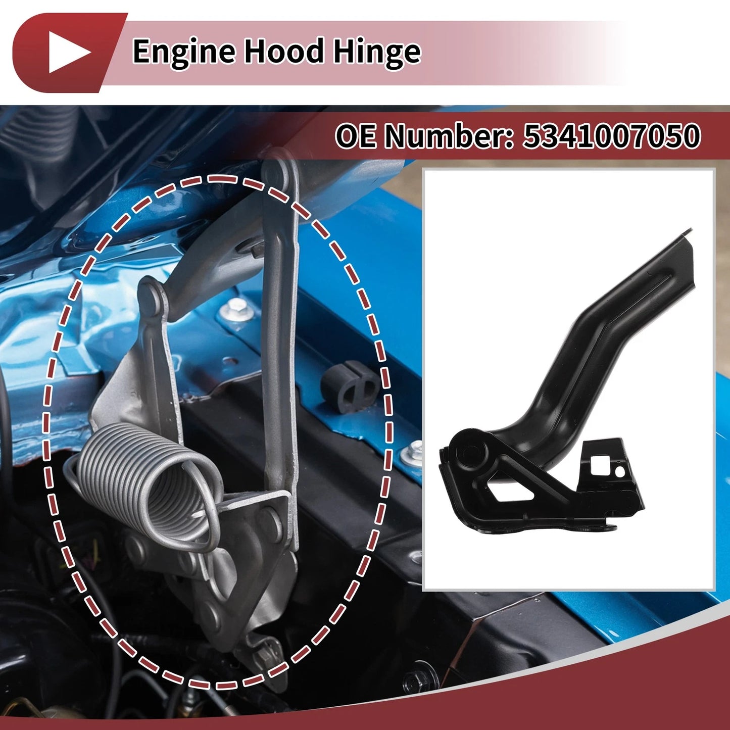 Hood Hinge for Toyota Avalon (2018–2024) Right Side, 1 pcs