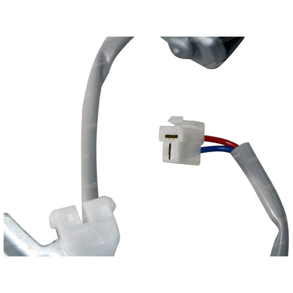 Front Electric Window Regulator RH for Ford Falcon AU/BA/BF (1998-2008)