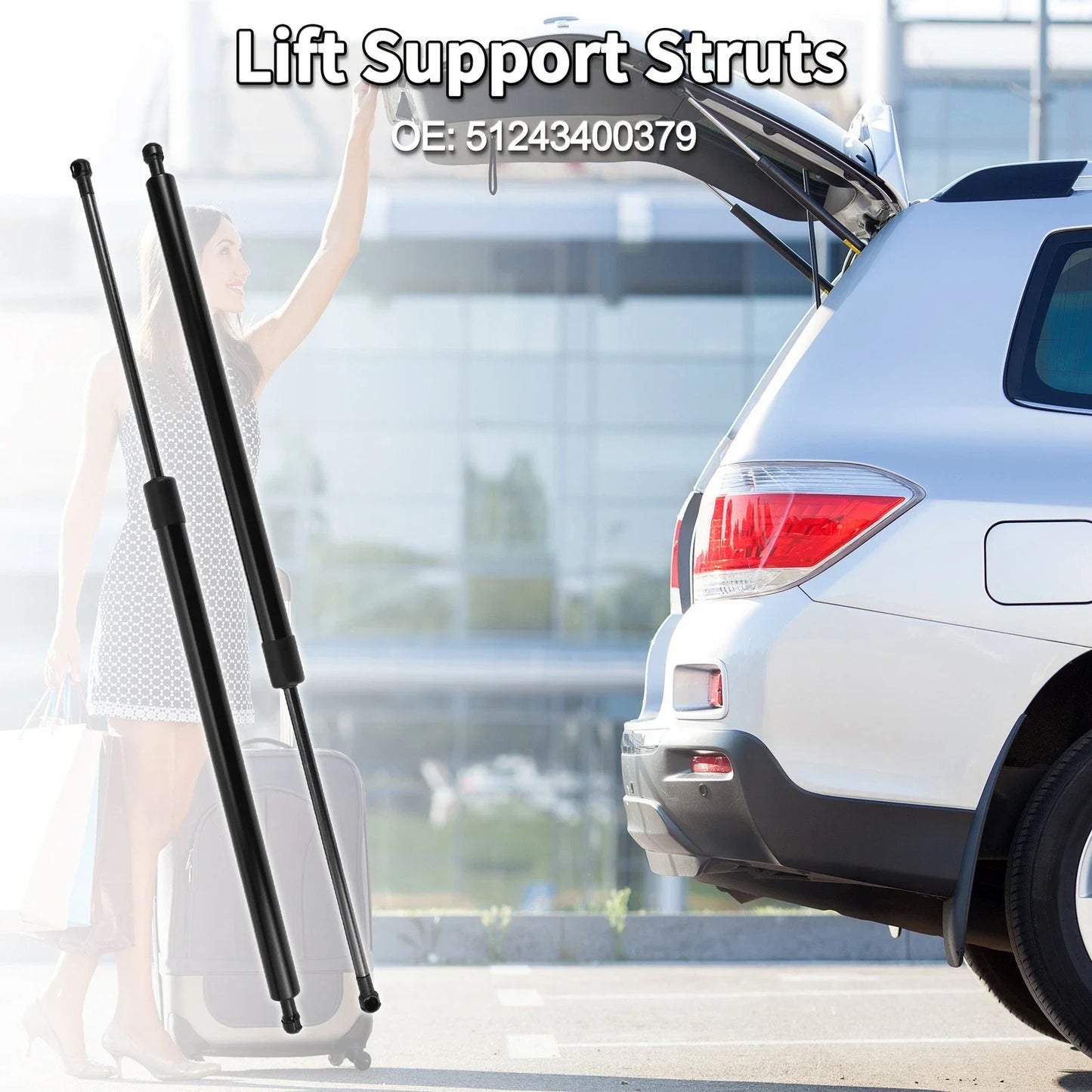 Rear Hatch Lift Supports Struts for BMW E83 X3 SUV (2004-2010)