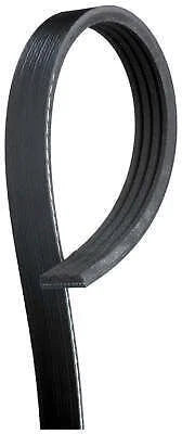Drive Belt