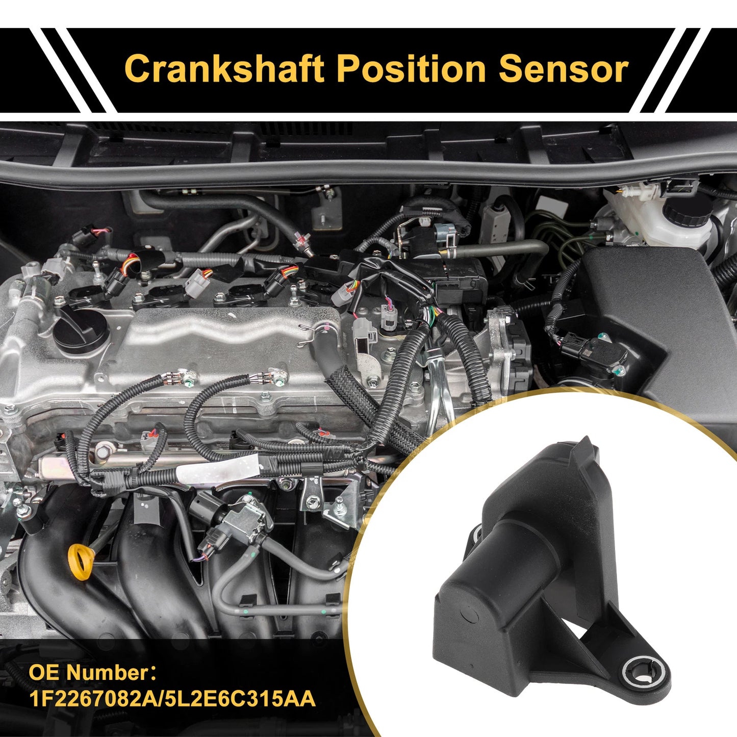 1 Pc Crankshaft Position Sensor for Ford Explorer 4.0 (1997-2004)