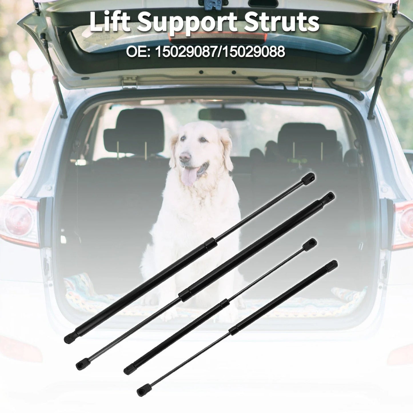Rear Window Glass & Lift Supports for Chevrolet Suburban 1500 (2007-2014)