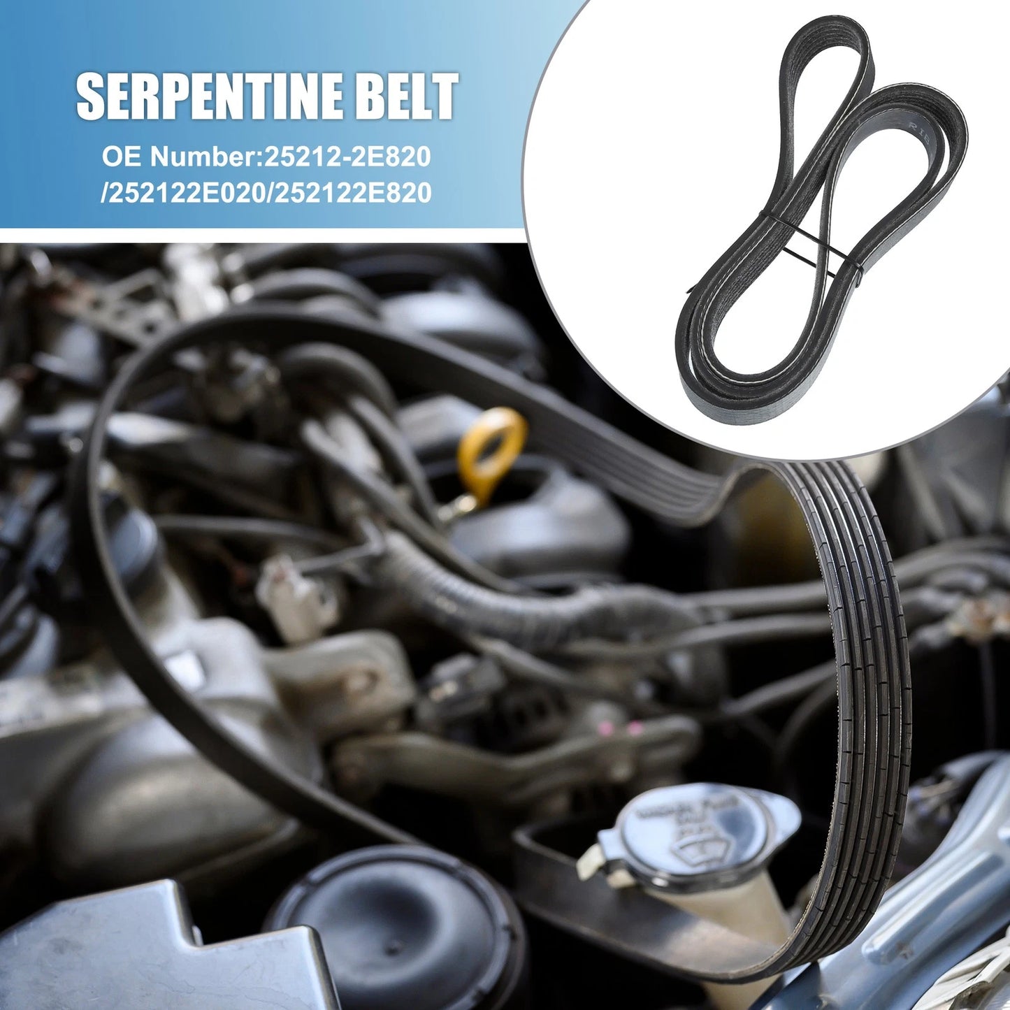 Serpentine Belt for Hyundai Elantra (2011–2016) No. 25212-2E820