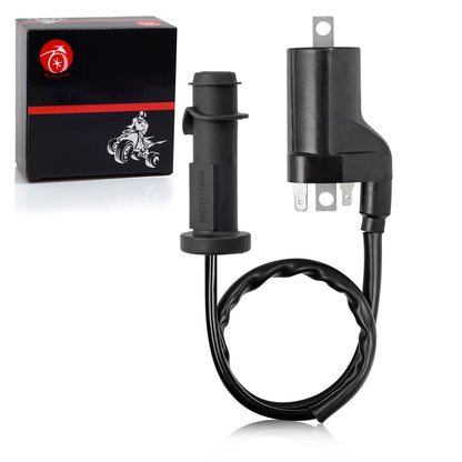 Ignition Coil Pack & Spark Plug Set for Arctic Cat 550 700 1000 (2009–2016)