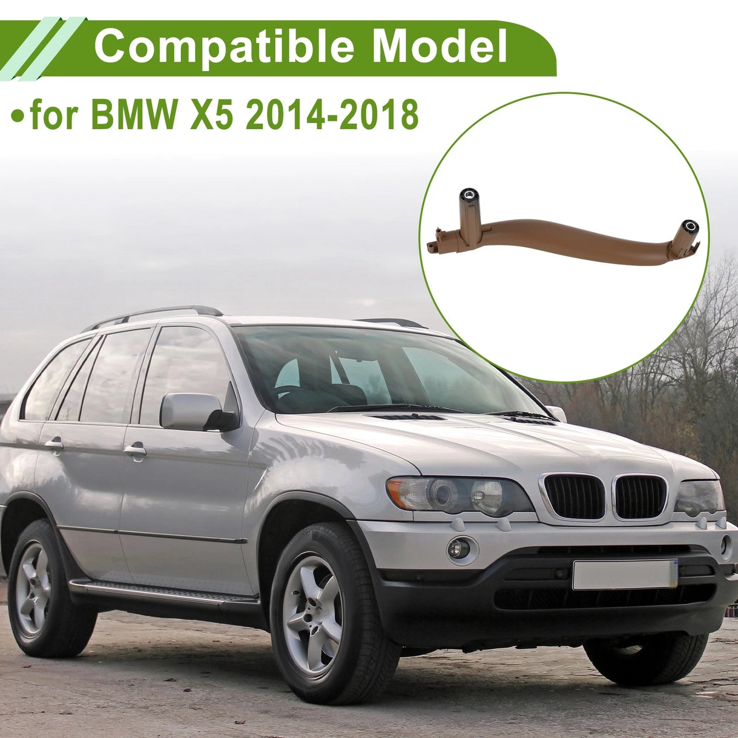 Front Passenger Side Door Handle Trim Cover for BMW X5 (No. 51417368959)