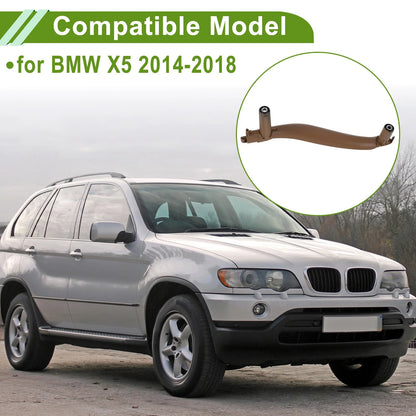 Front Passenger Side Door Handle Trim Cover for BMW X5 (No. 51417368959)
