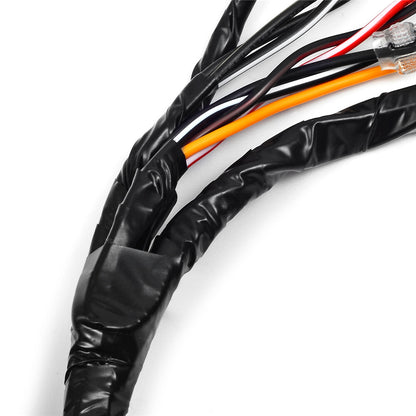 Wire Harness for Yamaha Blaster YFS200 (1997–2001)