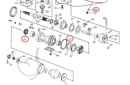 Lower Unit Oil Seal for Evinrude Johnson V4 V6 (2002–2006)