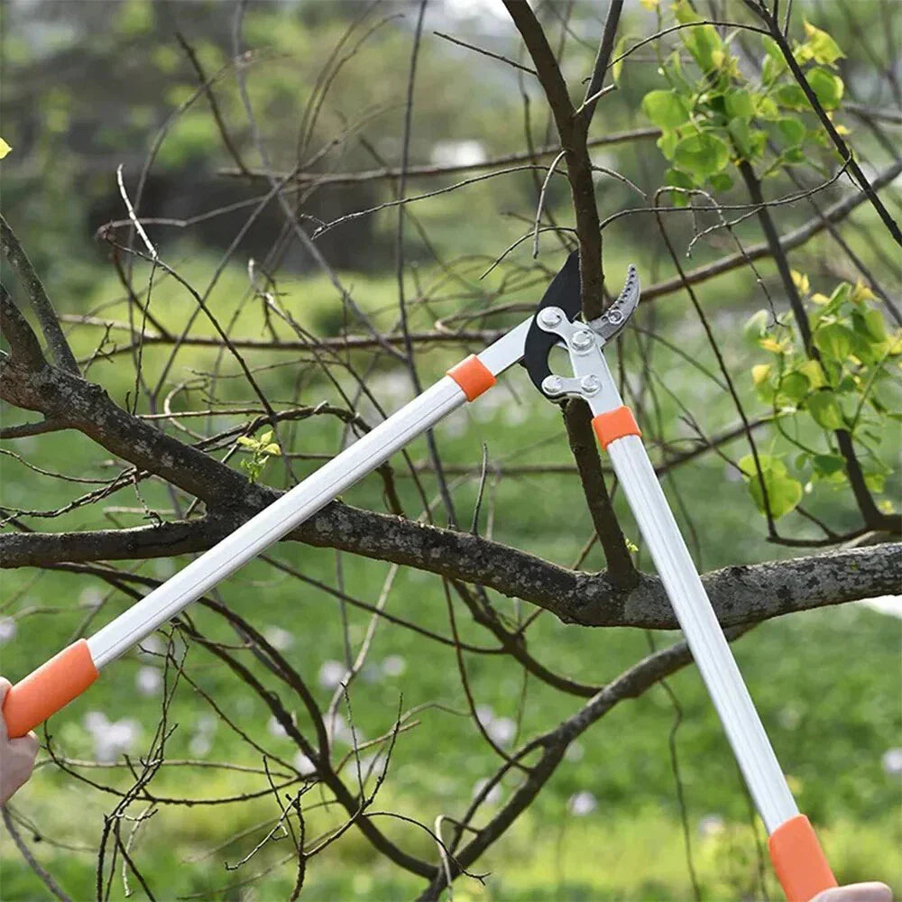 SK5 Steel Garden Tree Pruning Shears
